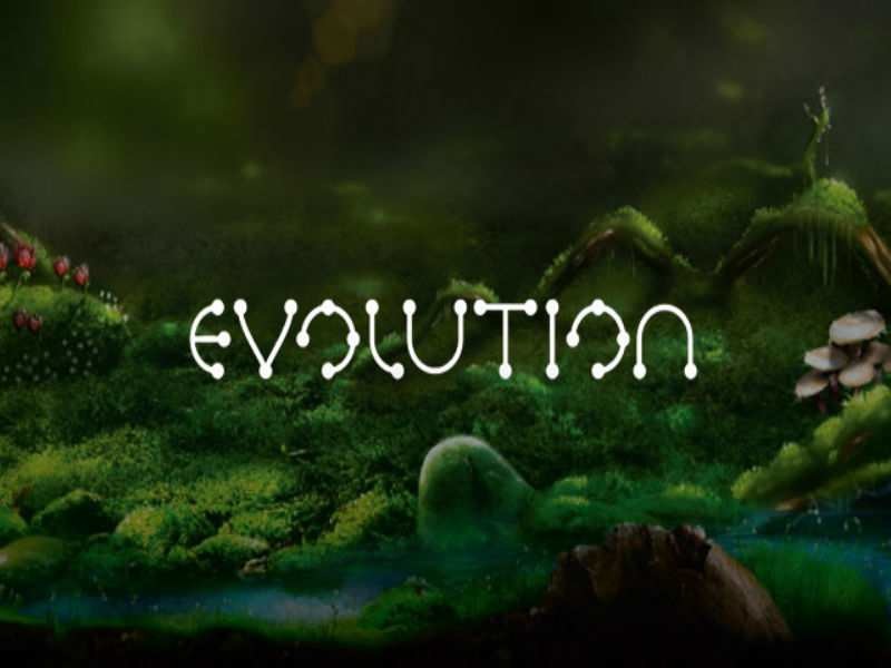 Best Evolution Gaming Casinos New Zealand